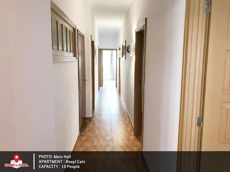 Royal Cats Apartment ปอร์โต ภายนอก รูปภาพ