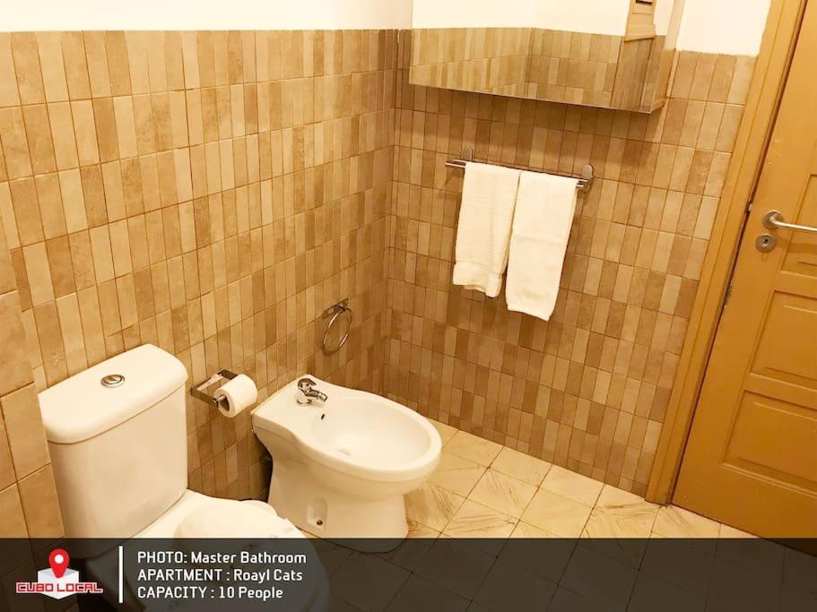 Royal Cats Apartment ปอร์โต ภายนอก รูปภาพ