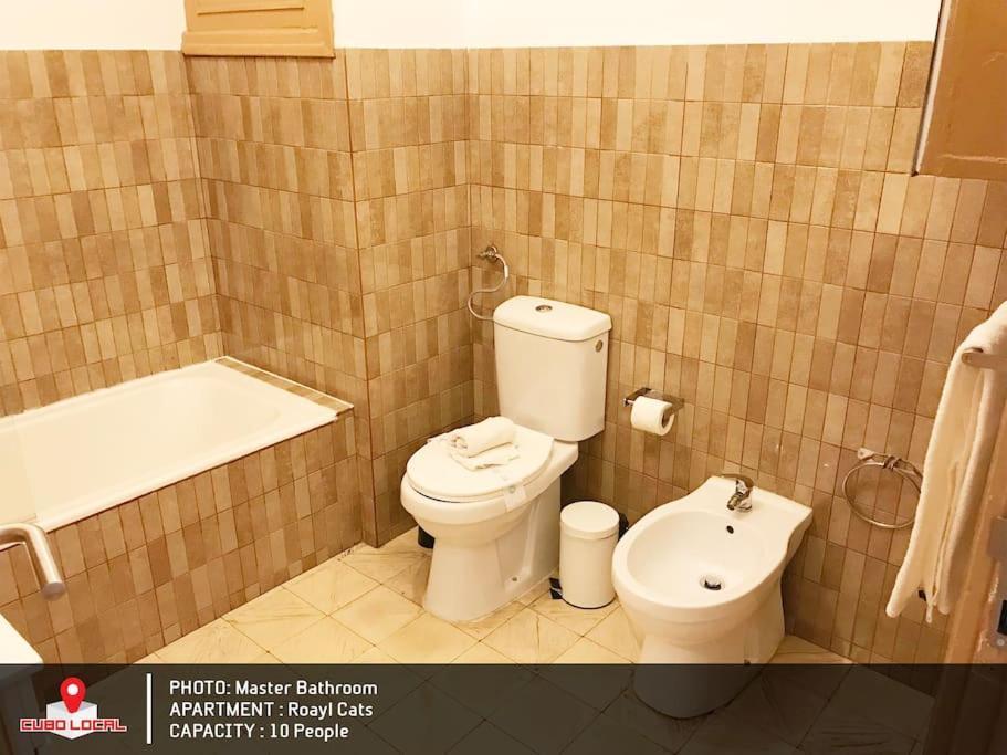 Royal Cats Apartment ปอร์โต ภายนอก รูปภาพ